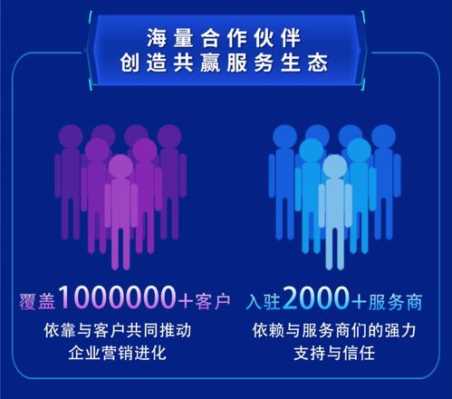 两微之外的蓝海 抖音技术服务在数字生态中的独特价值